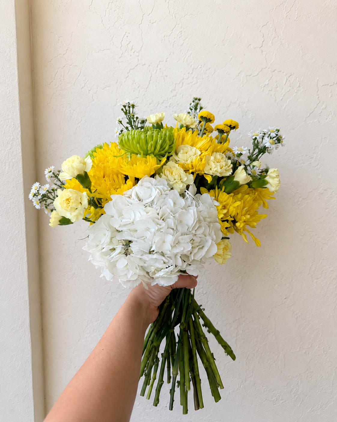 Curated by ARS Blooms